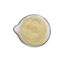 Wholesale Dehydrated Onion Granules